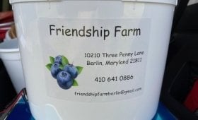 Friendship Farm