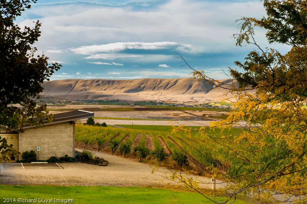Hightower Cellars