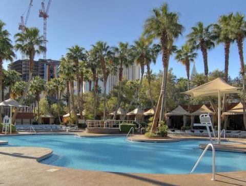 Treasure Island Pool and Cabanas