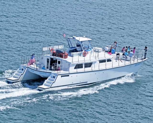 Bay Spirit Tours
