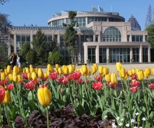 Atlanta Botanical Garden