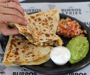 Burros & Fries - Glendale Az