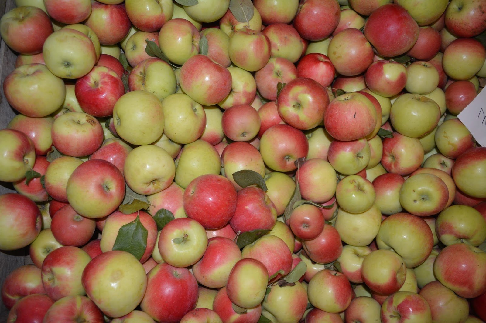 Clinton Cider Mill