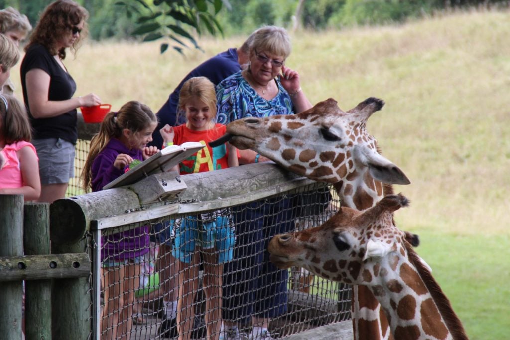 Binder Park Zoo