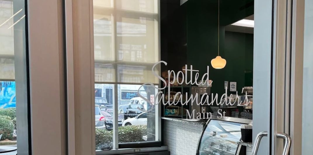 Spotted Salamander Main Street