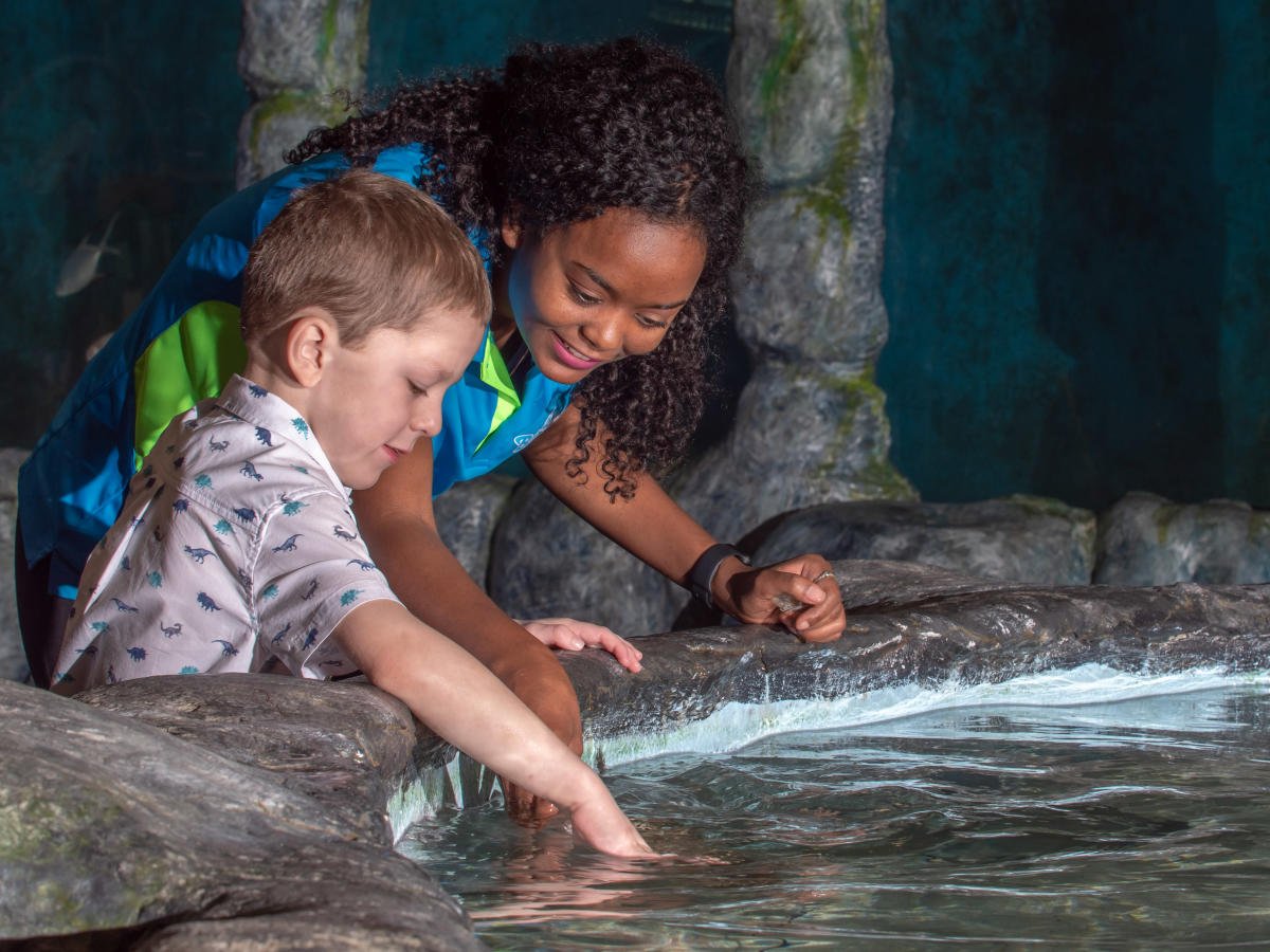 Blue Zoo Aquarium Baton Rouge