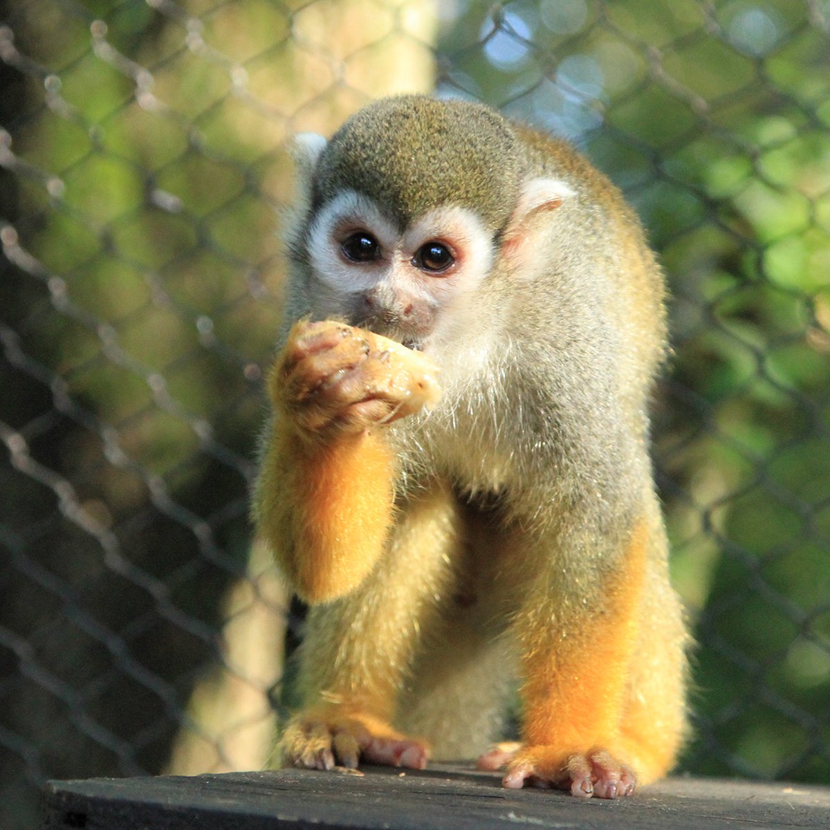 Alexandria Zoological Park