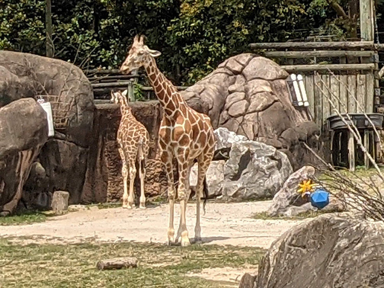 Zoo Knoxville