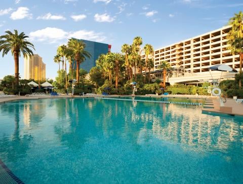 Blu Pool at Horseshoe Las Vegas