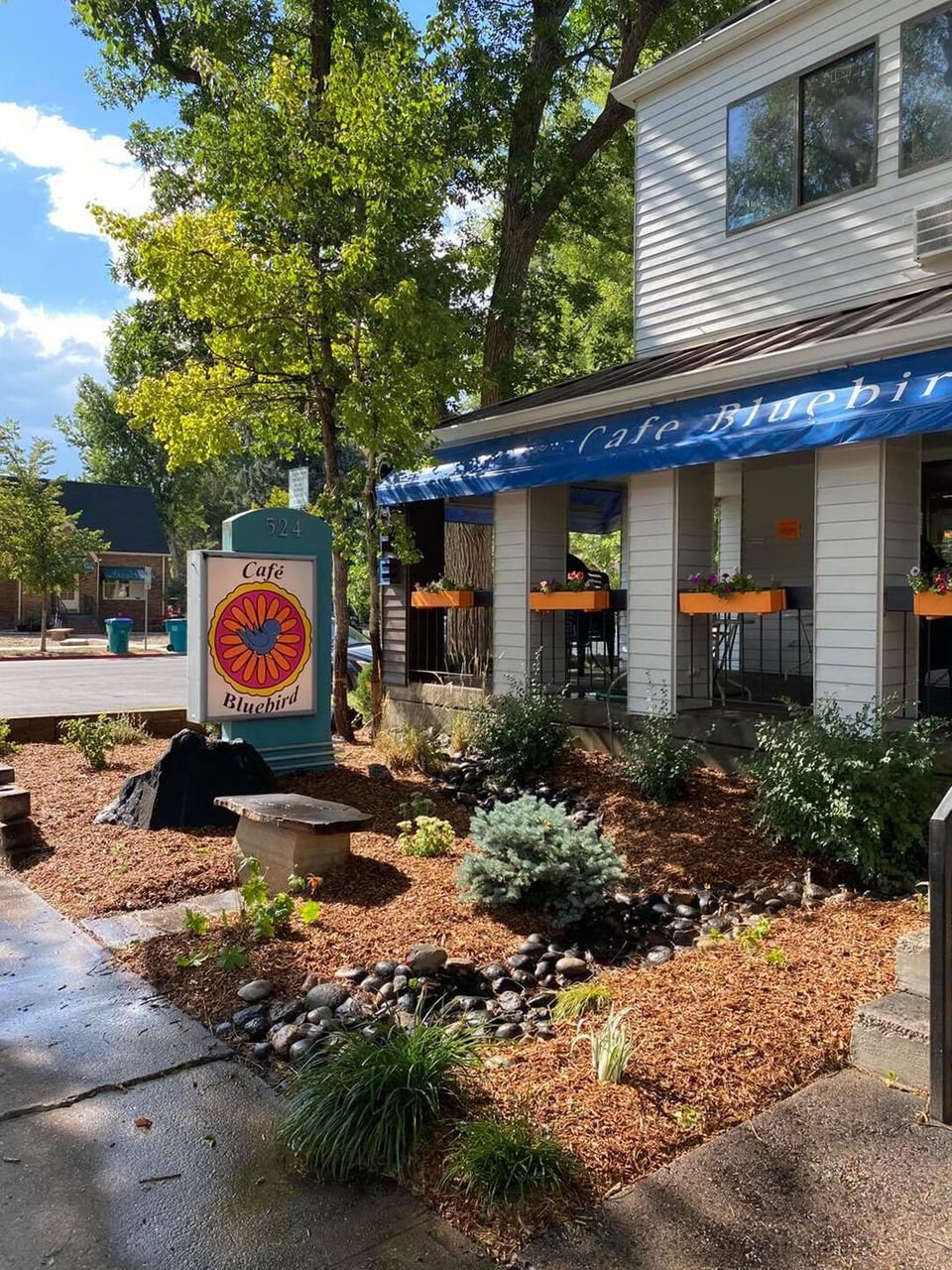 Cafe Bluebird
