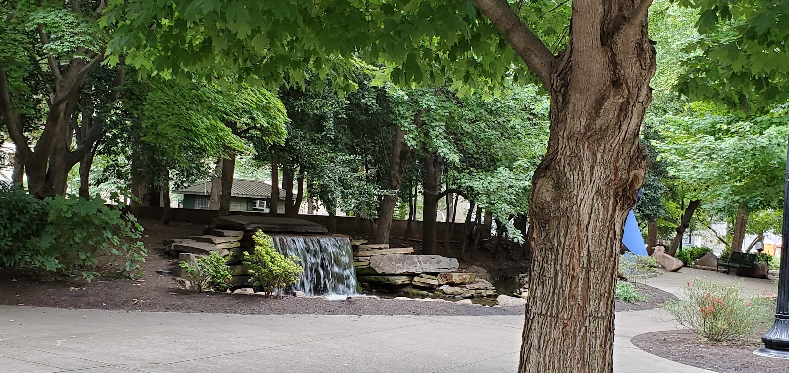 Knoxville Food Tours