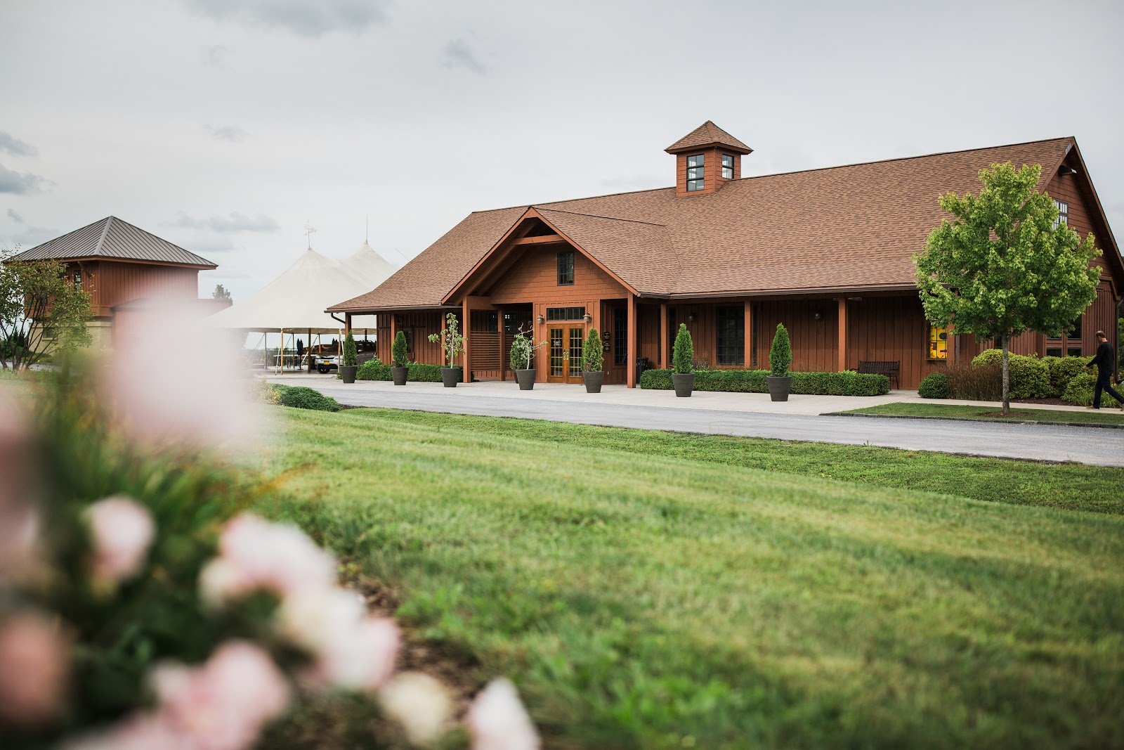 Anyela's Vineyards