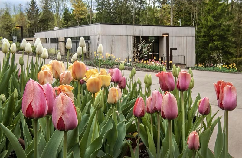 Pittsburgh Botanic Garden