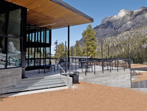 Bristlecone Bar