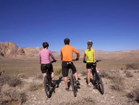 Escape Adventures Bike Tours