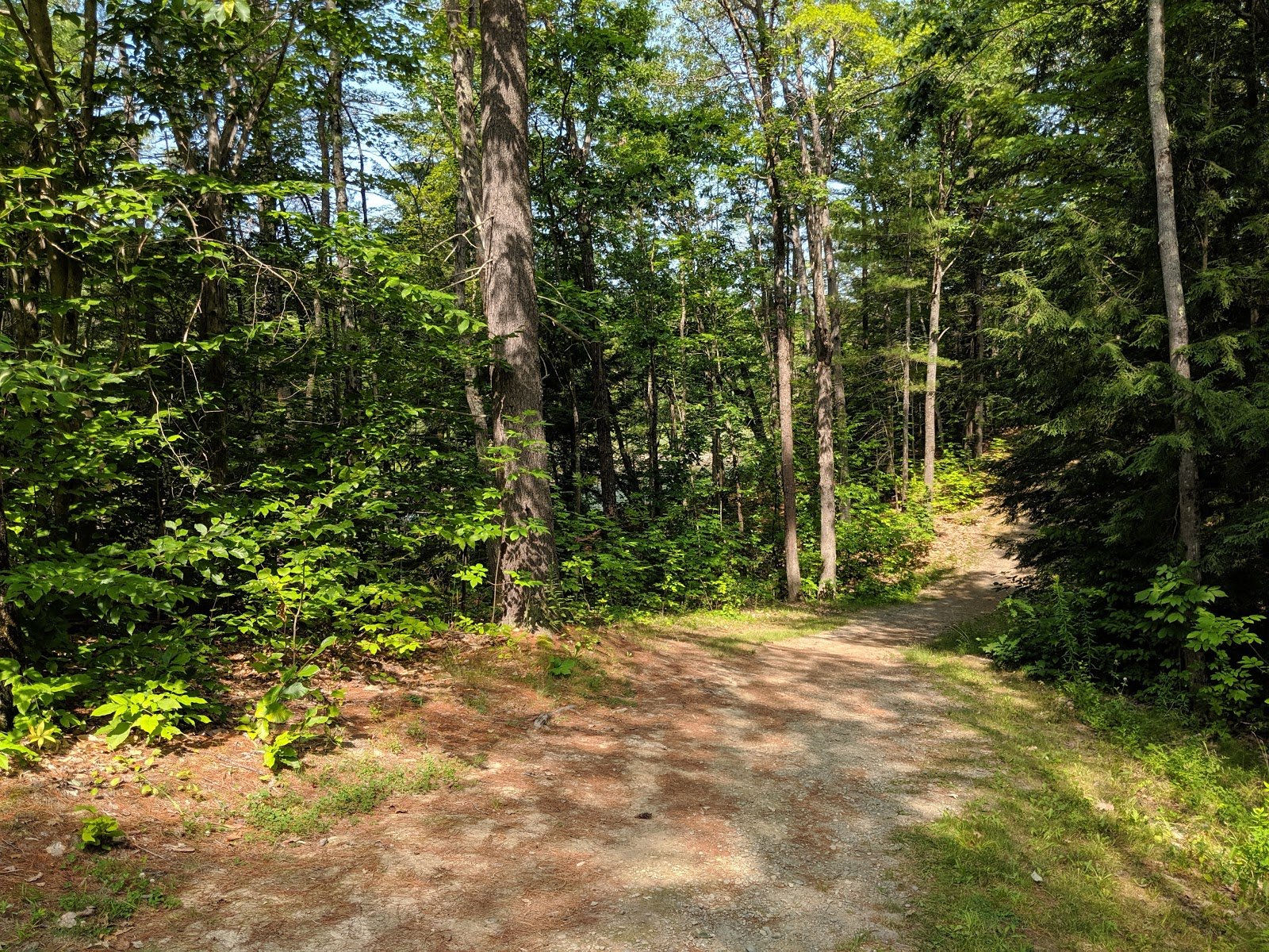 Quarry Road Trails