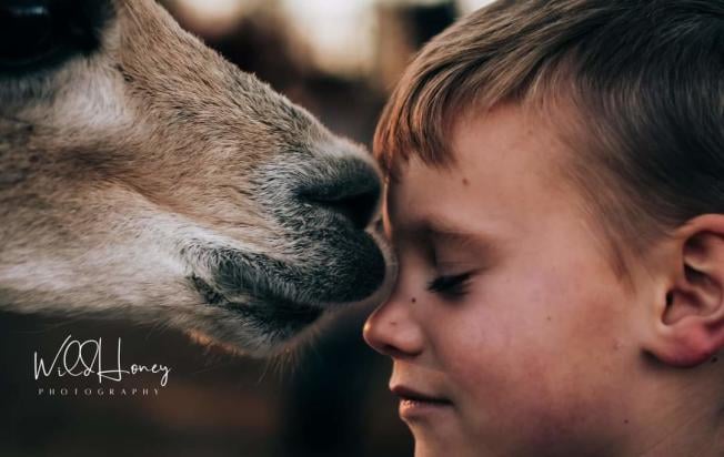 Wild Kid Acres