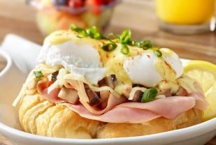 The Great Egg
