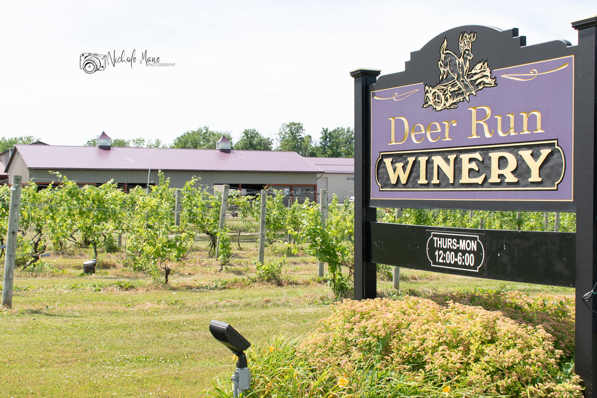 Deer Run Winery