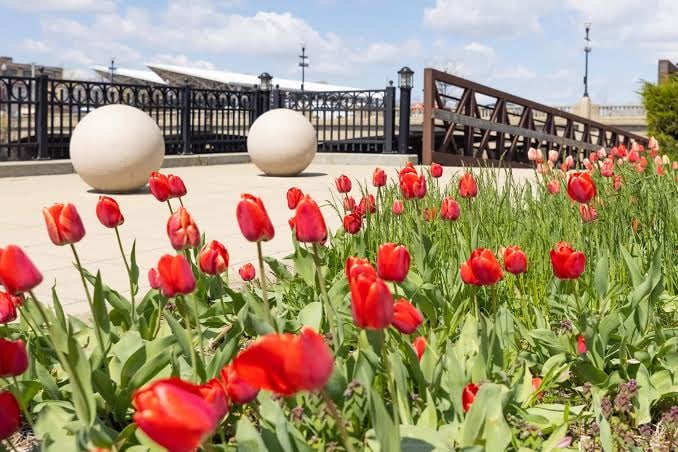Explore Elgin Area