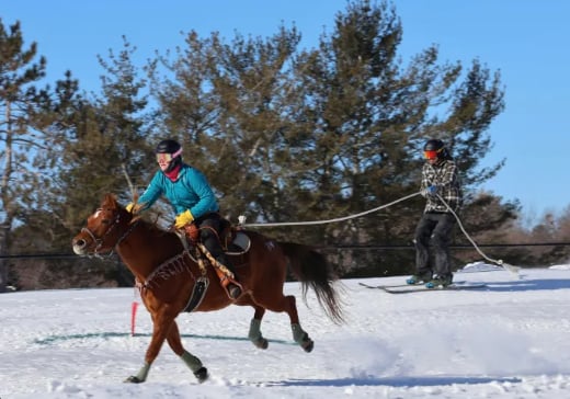 Skijor Bangor