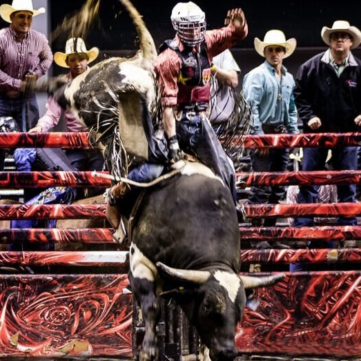 Professional Championship Bull Riders