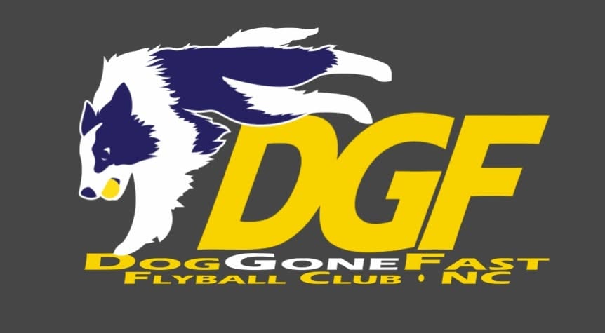 The DogGoneFast Flyball Club Tournament