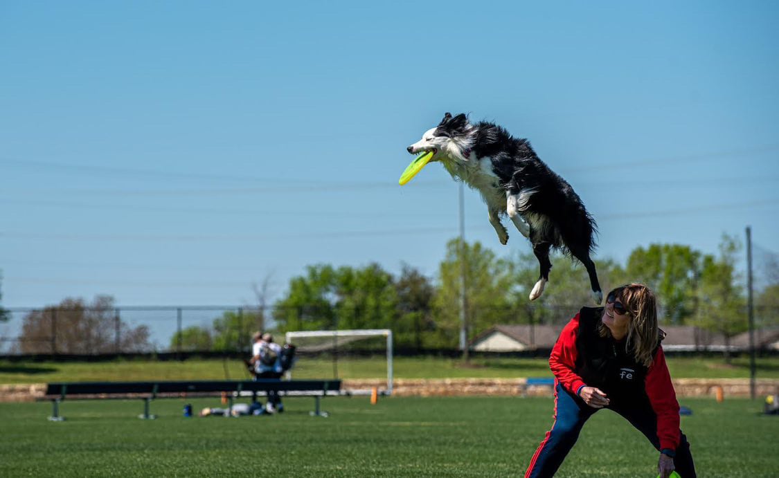 Lone Star Disc Dogs