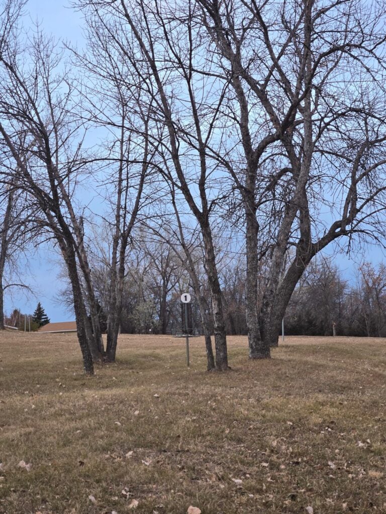 Nicolas Disc Golf