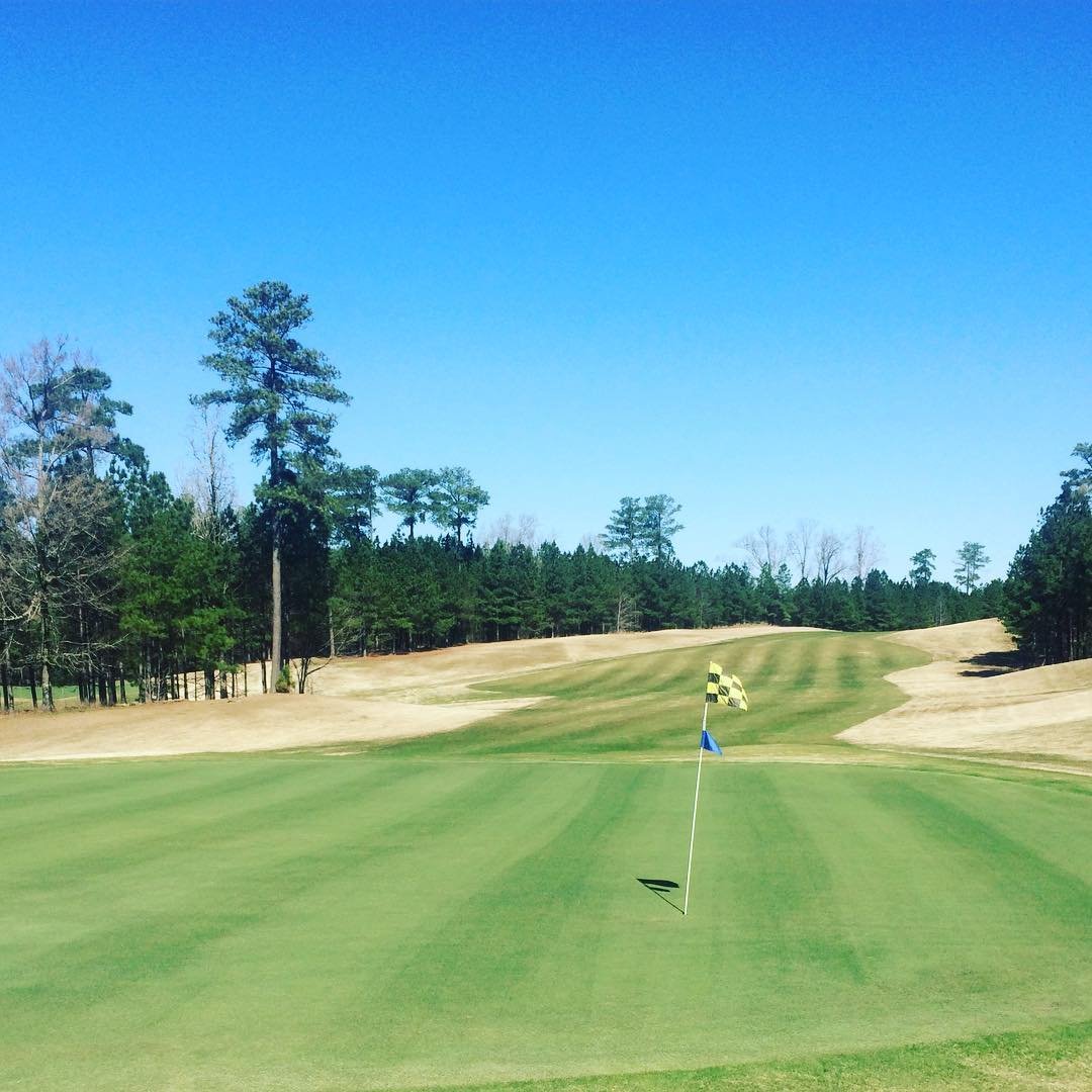 Mallard Pointe Golf