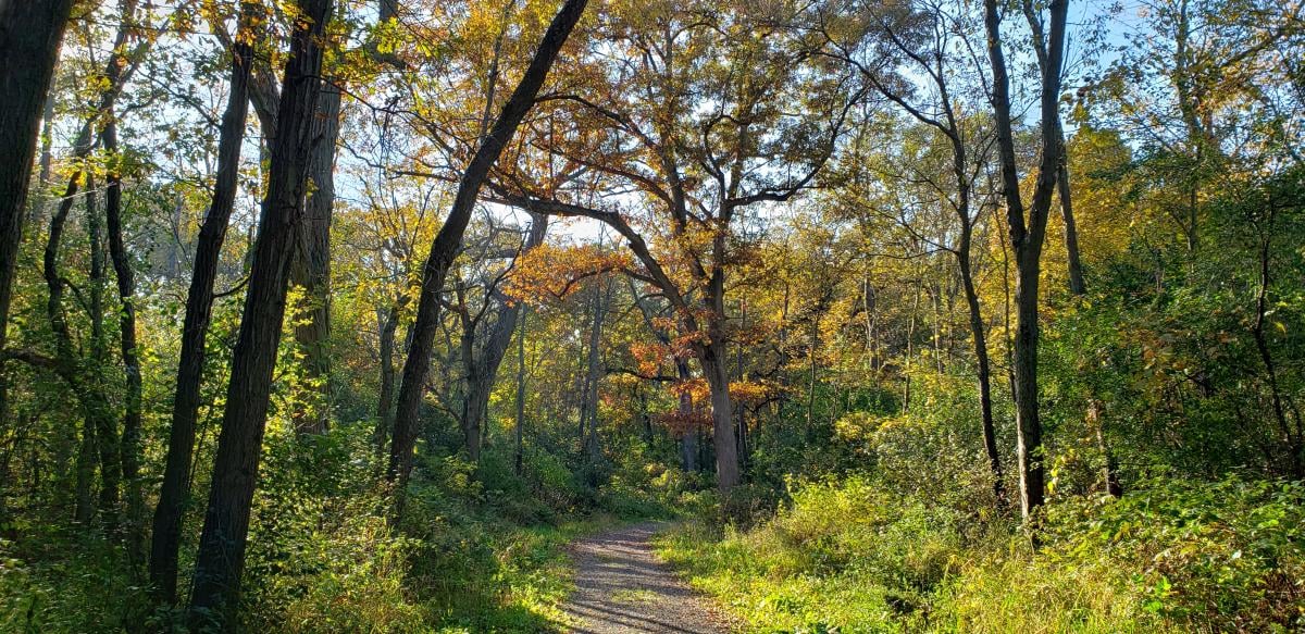 Donald Hackbarth Trail
