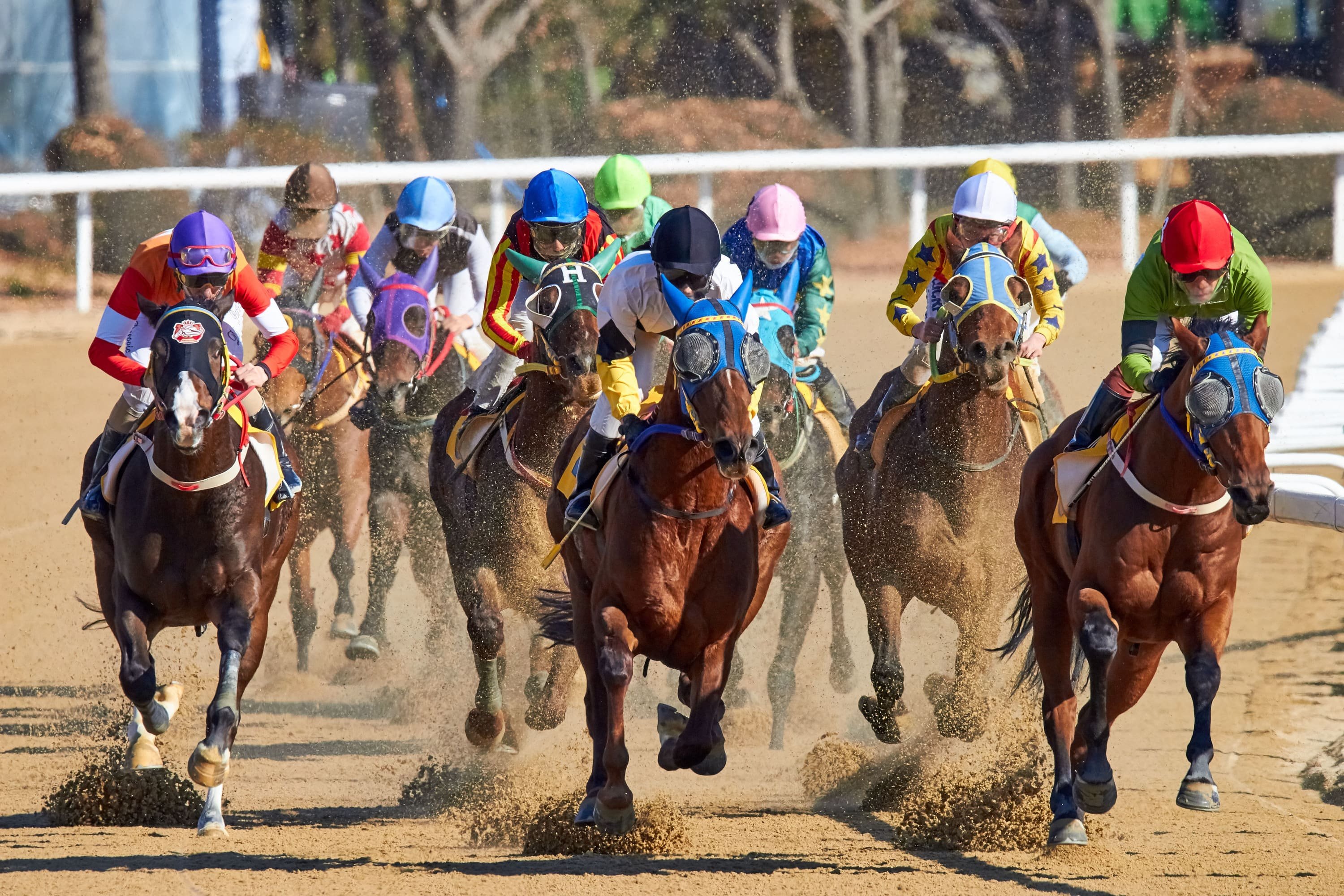 Hialeah Park Racing & Casino