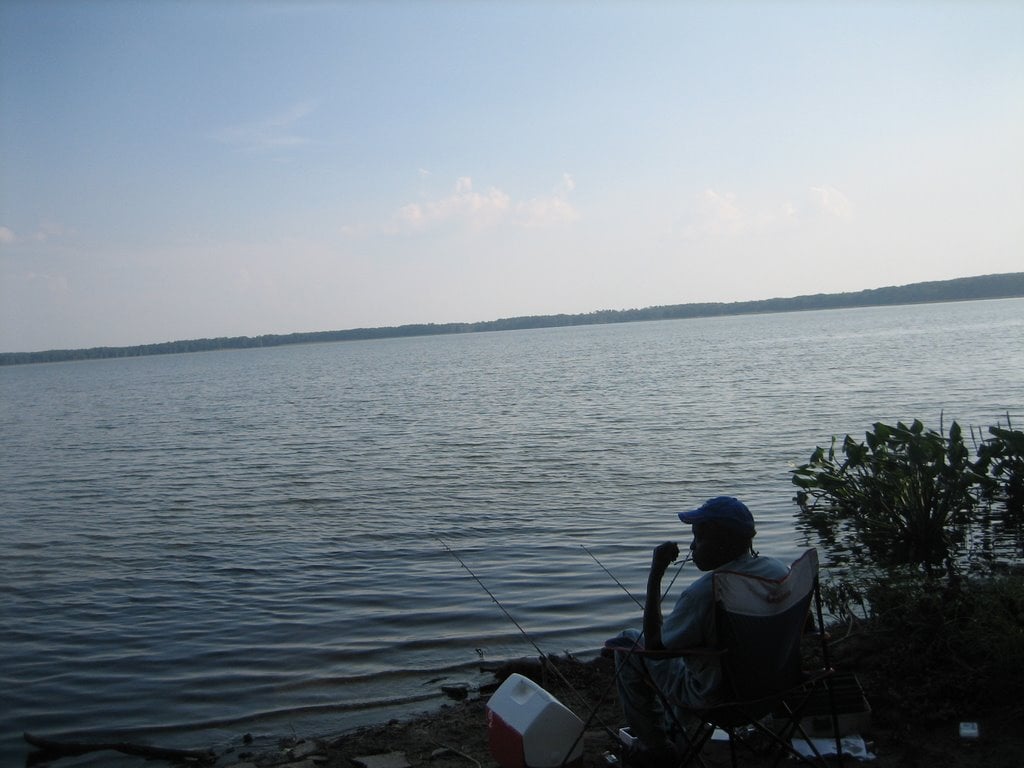 Newnans Lake