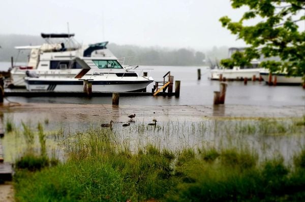 Betsie Bay Marina