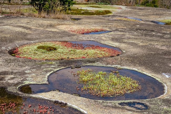 Forty Acre Rock Heritage Preserve
