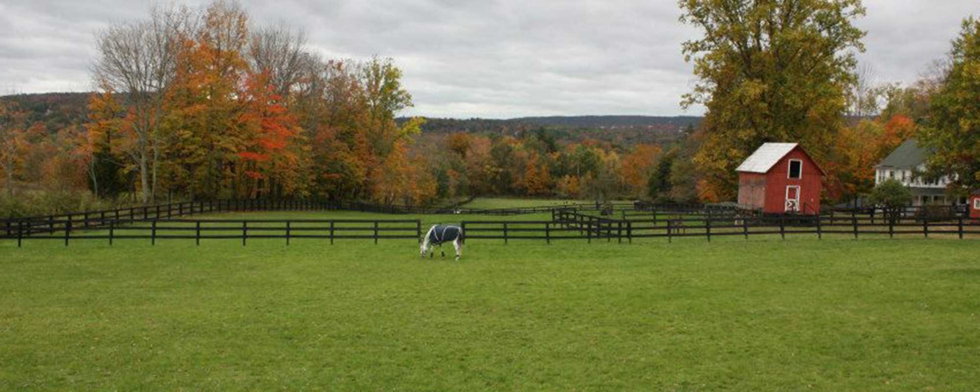 West Meadow Farm