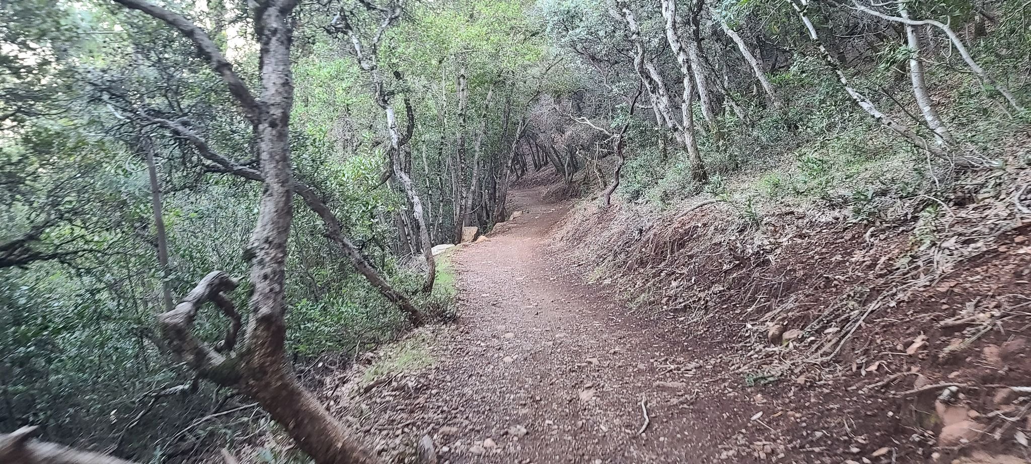 Mount Umunhum