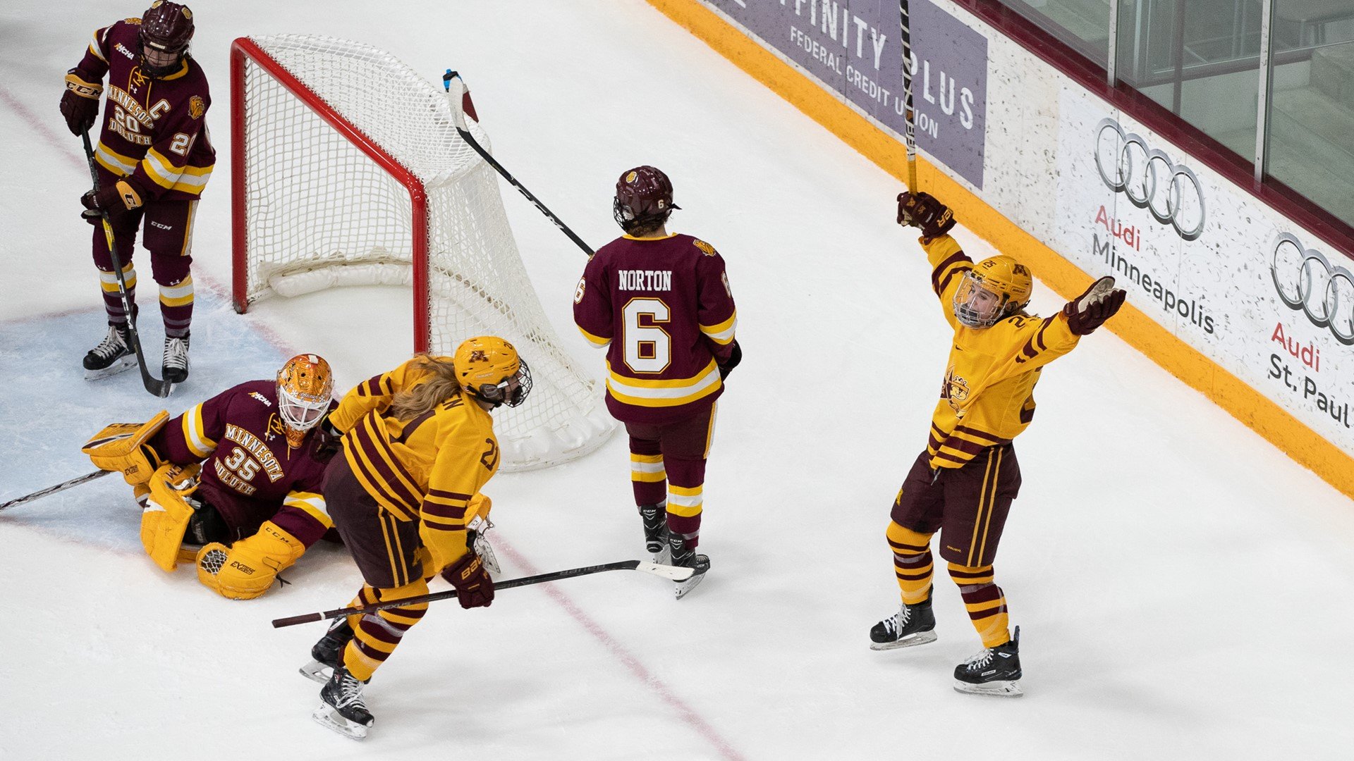 University of Minnesota Duluth