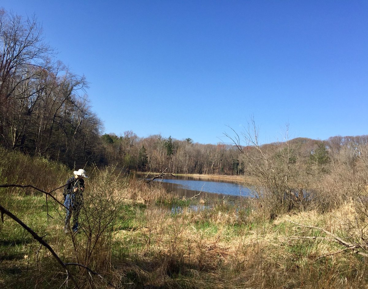 Ross Coastal Plain Marsh Preserve