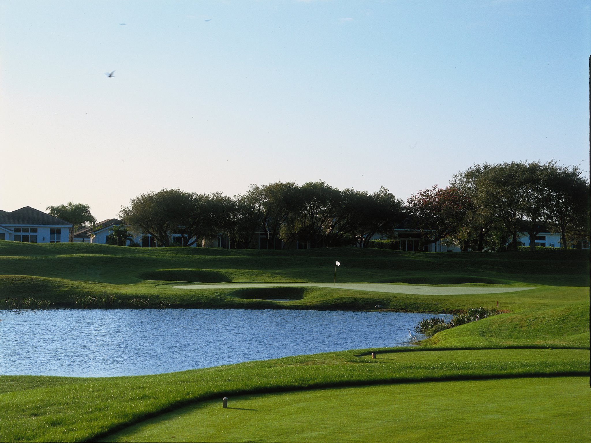 Eagle Trace Golf Club