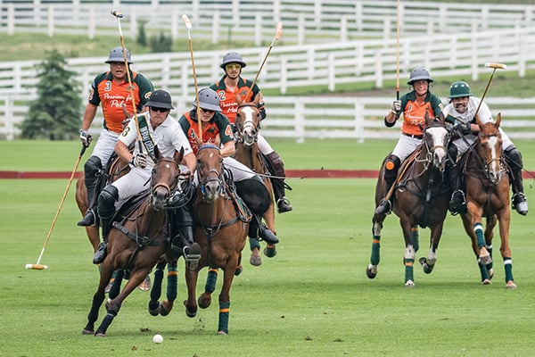 Arranmore Farm & Polo Club