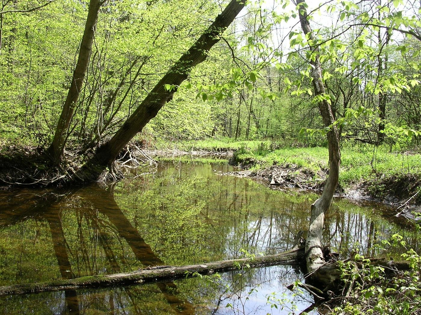 Stephen M. Polovich Memorial Nature Sanctuary
