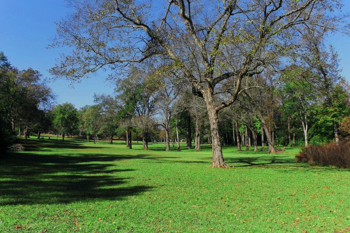 Pioneer Park