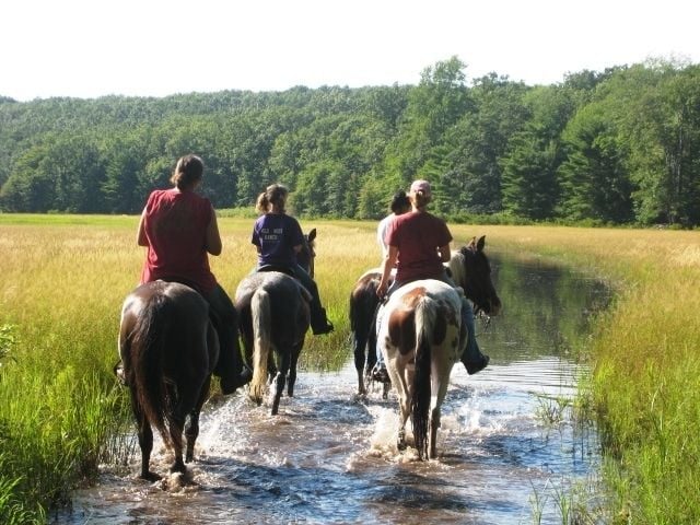 Michigan Horse Trails