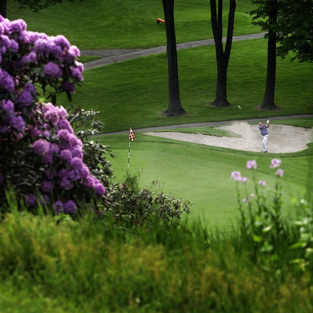 Gull Lake View Golf Club & Resort
