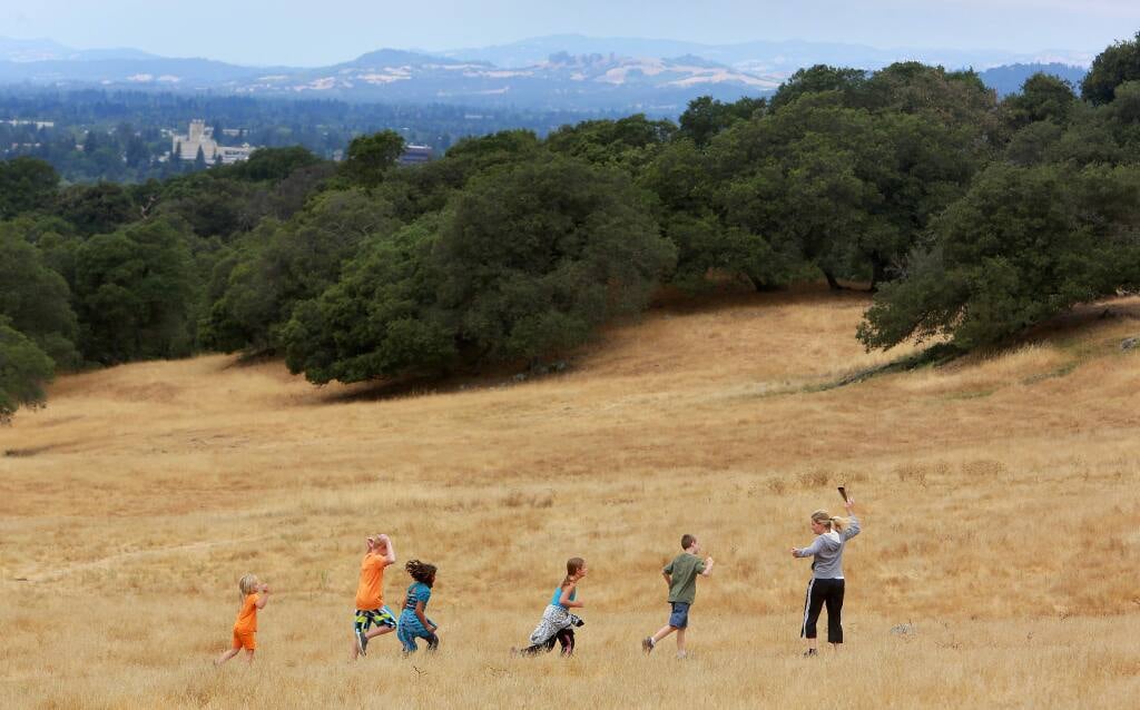 Taylor Mountain Regional Park