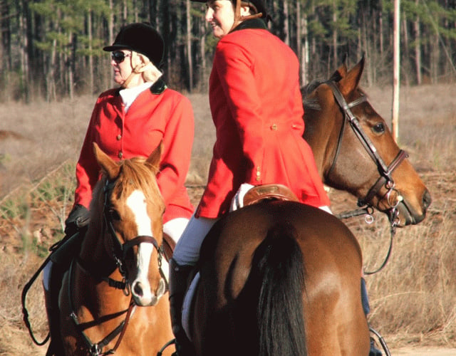 Whiskey Road Foxhounds
