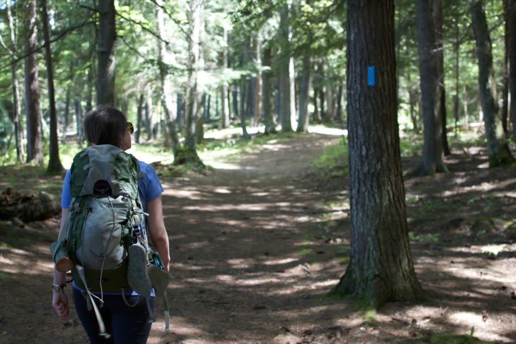 Buckeye/North Country National Scenic Trail
