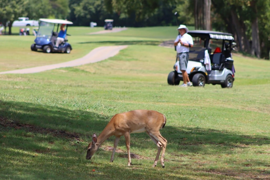 Georgetown Country Club