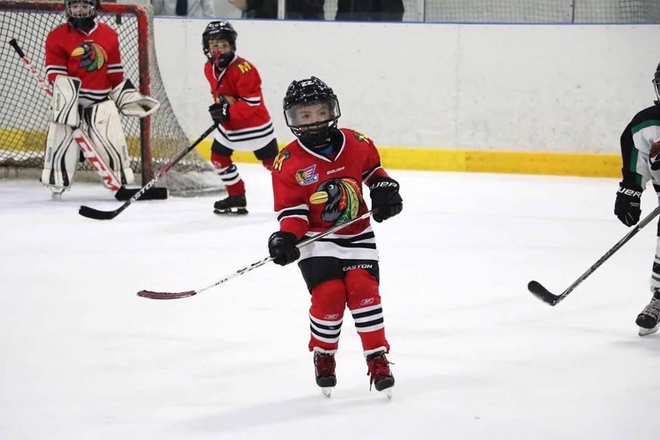 Twin Rinks Ice Pavilion 